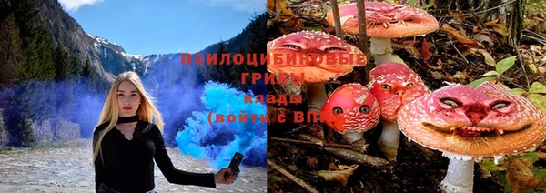 бошки Богданович